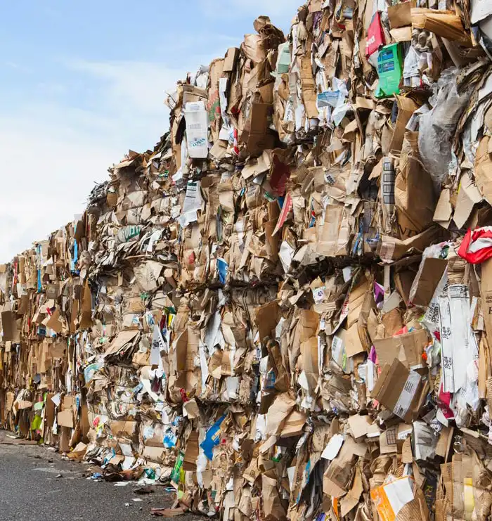 Carton recycling in Berlin